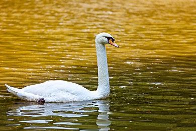 《逃生：试炼》正式版发售宣传片 涨价前最后机会！