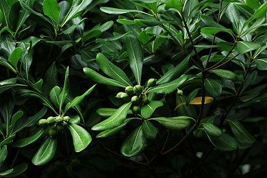 《深海迷航2》抢先体验可能持续3年 结束后会涨价