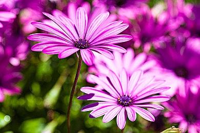 《黑神话：悟空》DLSS 3加长版实机演示 结尾有彩蛋